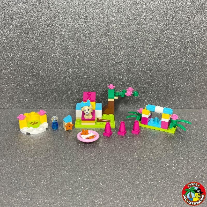 41088 - Friends - Puppy Training