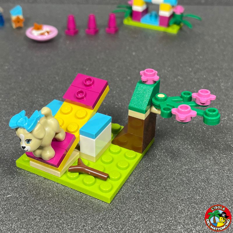 41088 - Friends - Puppy Training