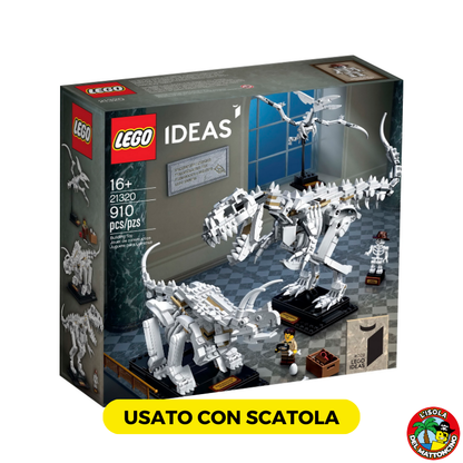 21320 - Ideas - Dinosaur Fossils