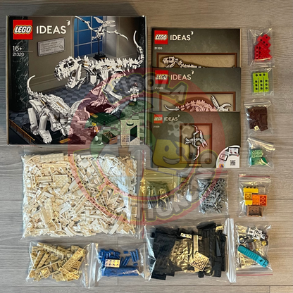 21320 - Ideas - Dinosaur Fossils
